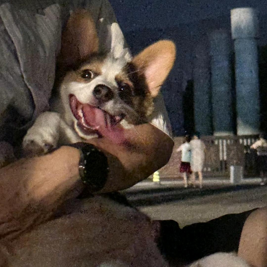 小八吃番薯