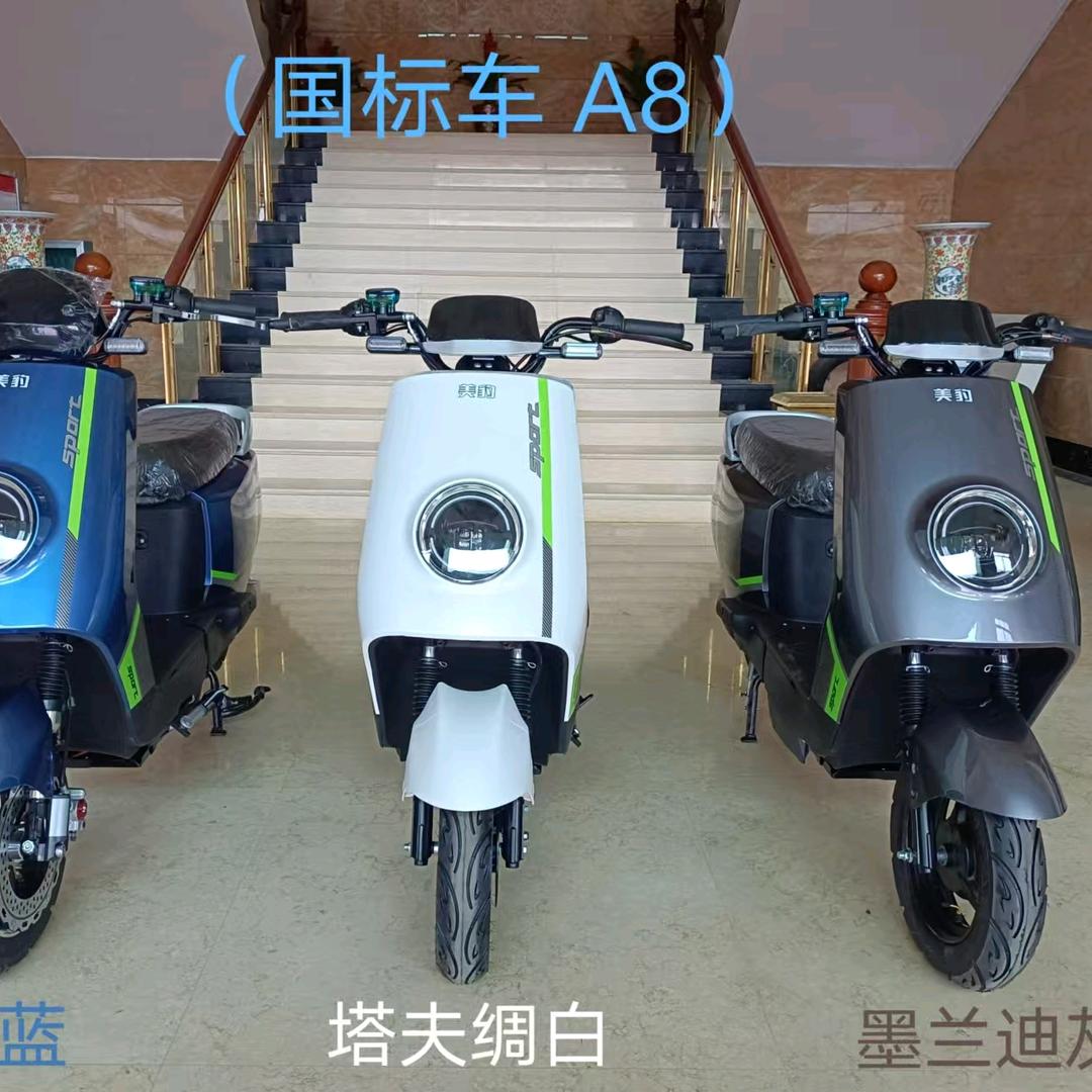 美豹立马电动车(清川大道店)