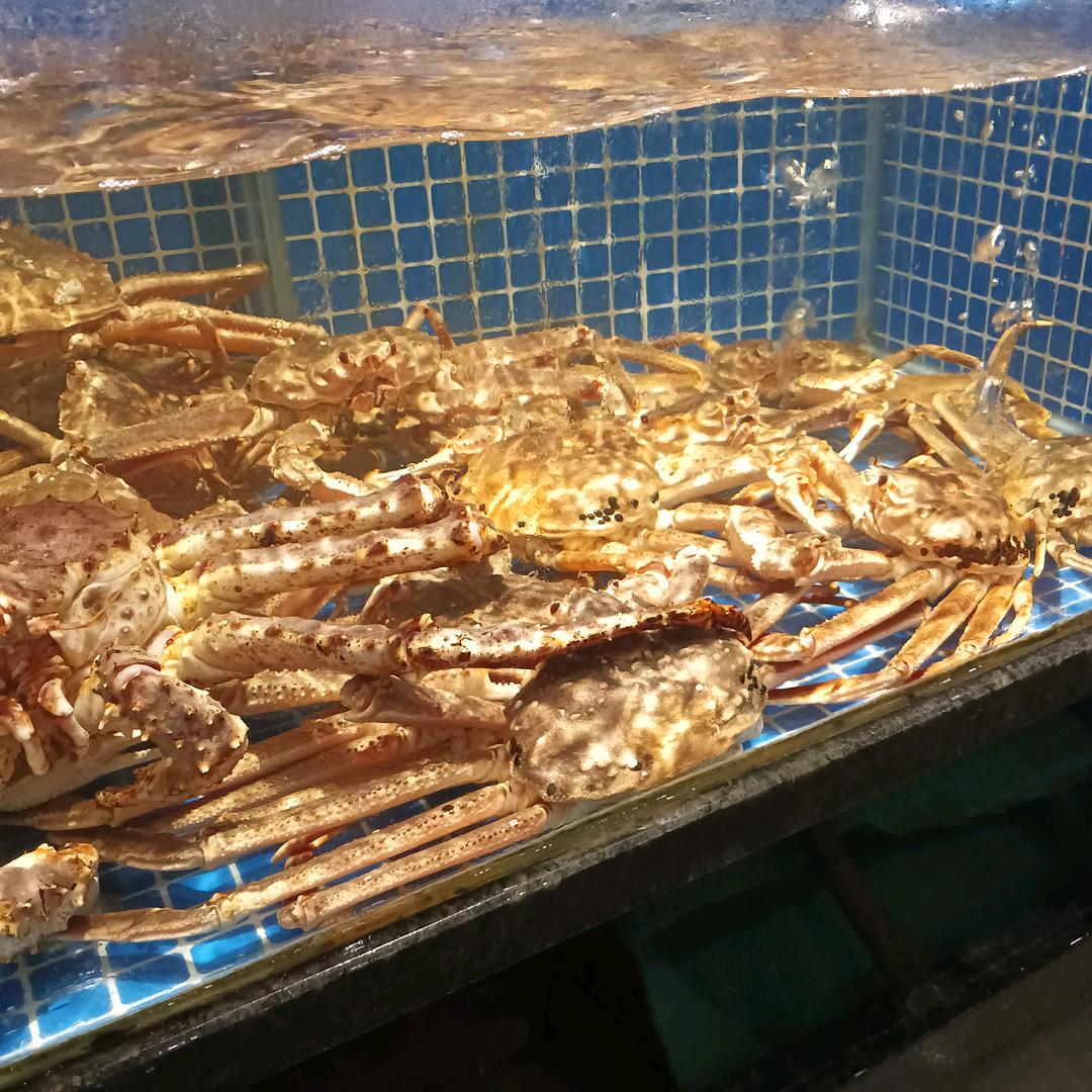 渡情