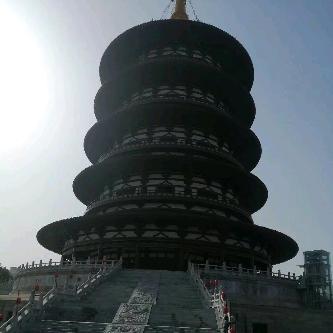 明～杨天下爱生活