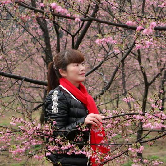 叶妹（晚上8：50首播）