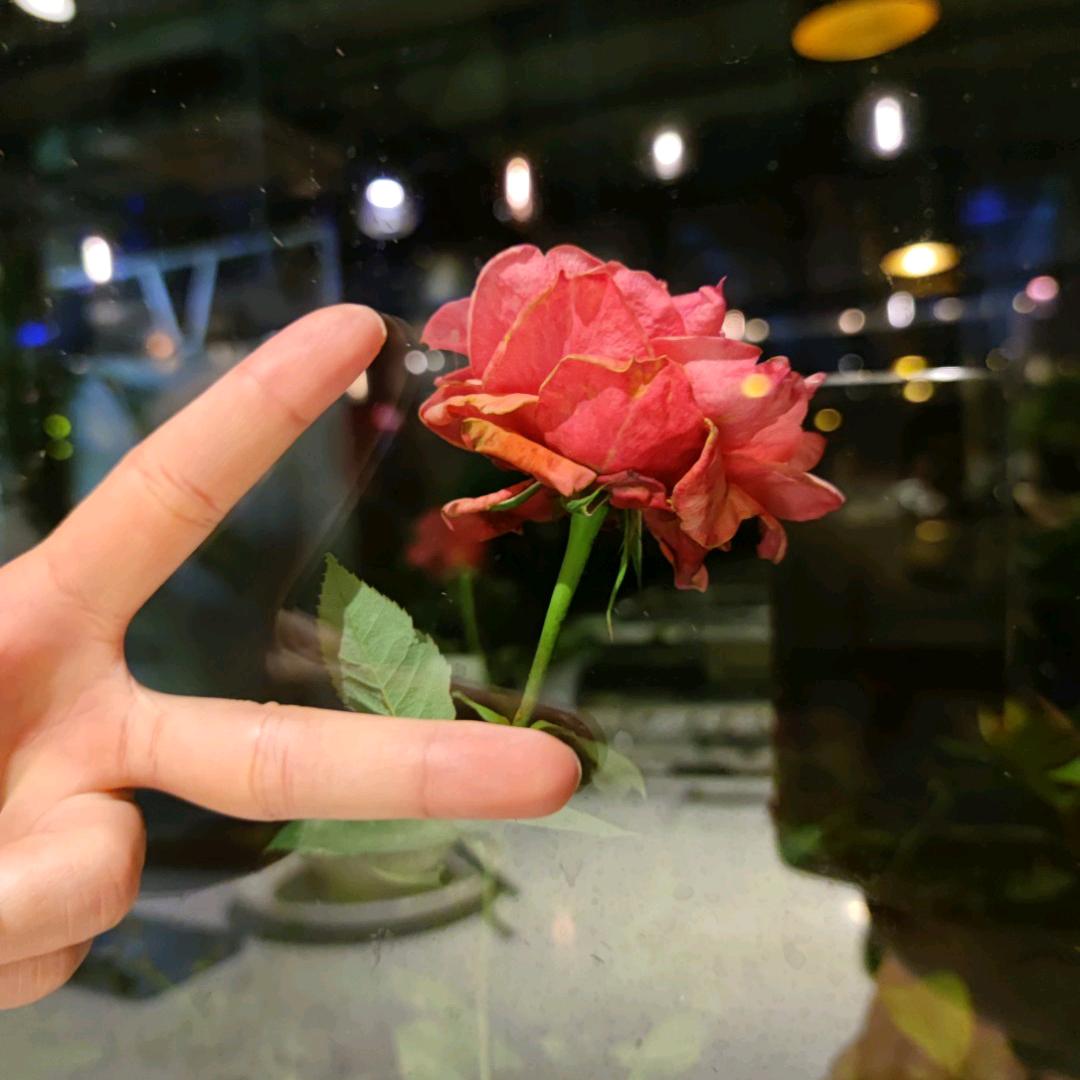 小羊暴富暴美💰