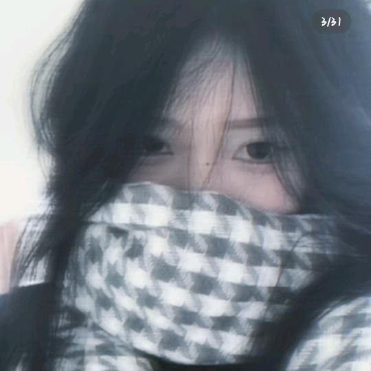 伯乐文亭分驾校