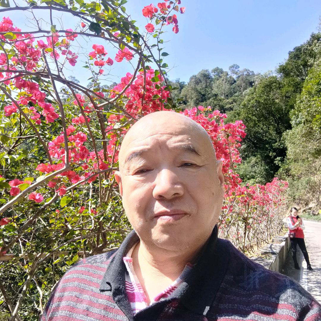 大将军5点半（早上）