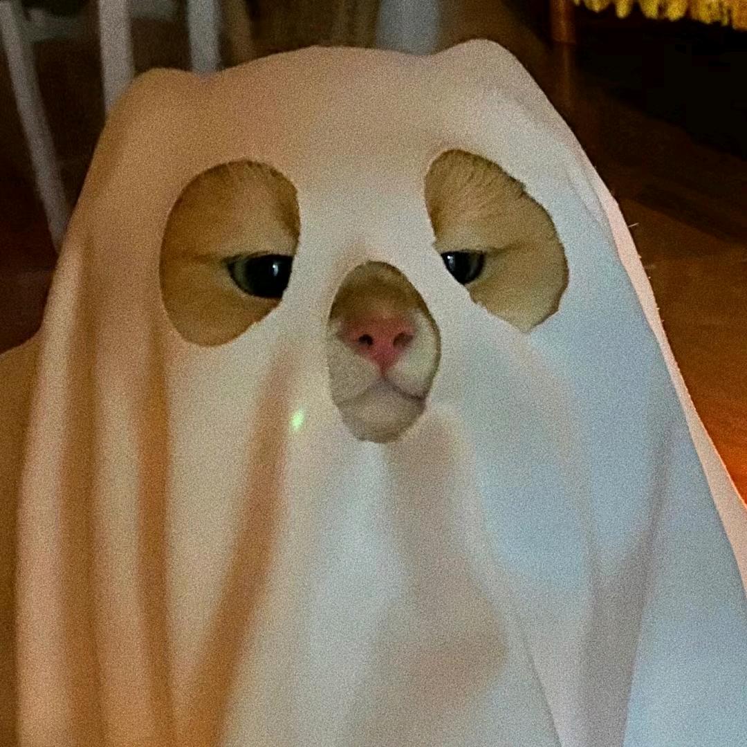 朱朱快跑