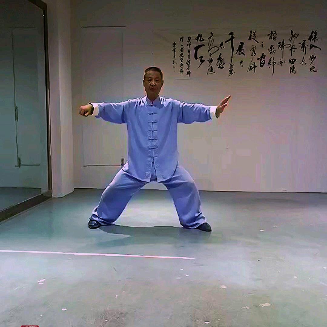 三甫太极