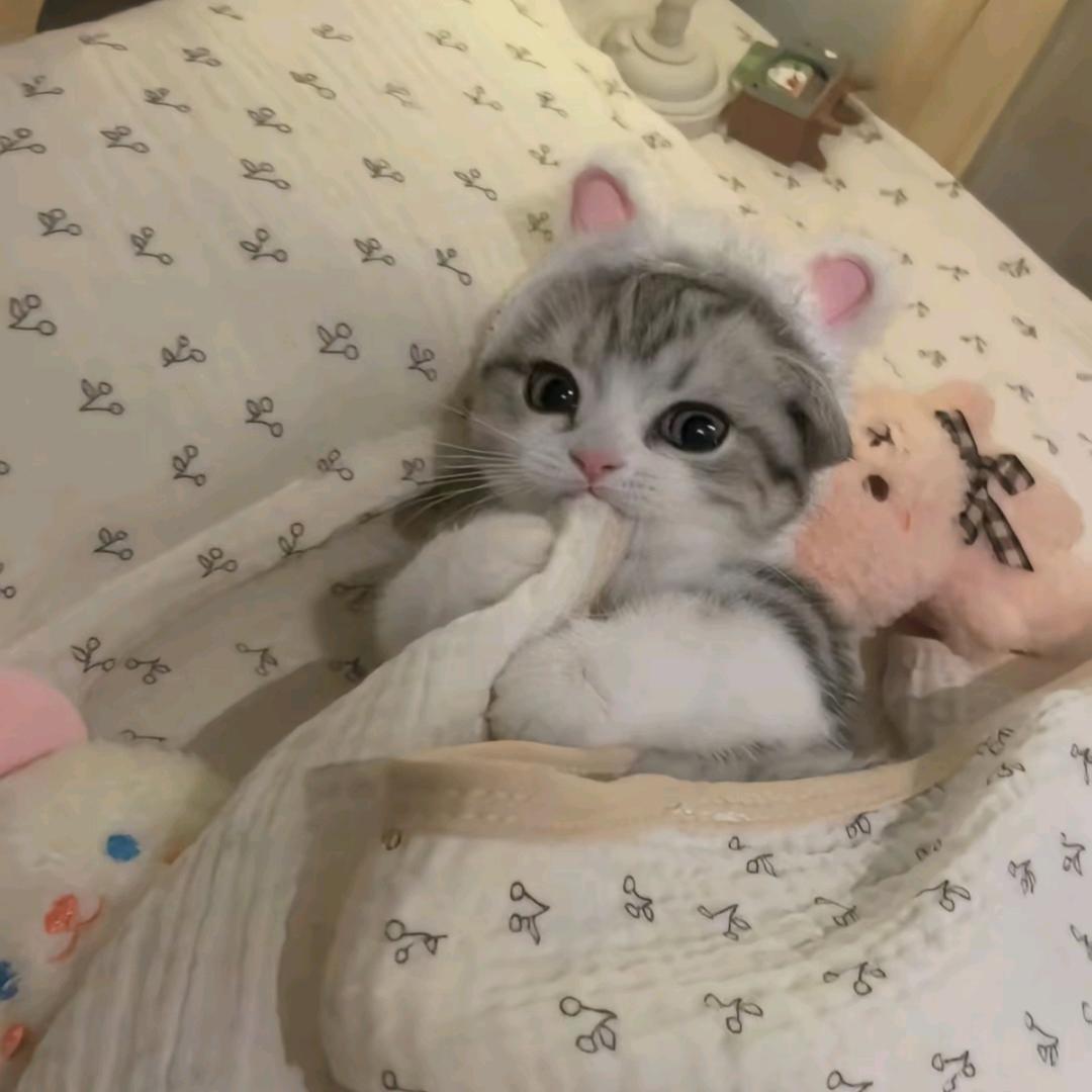 与君