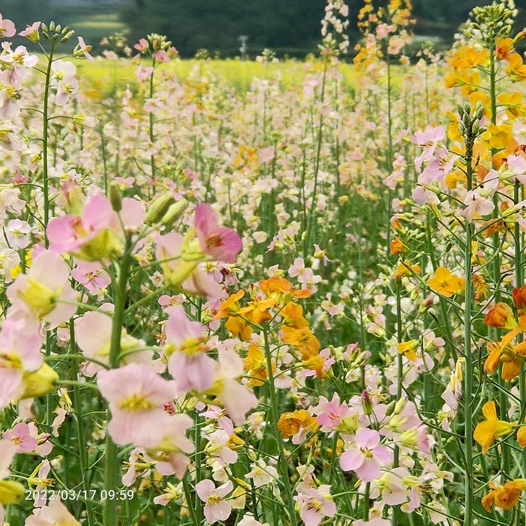 一笙♥*^_^*有你