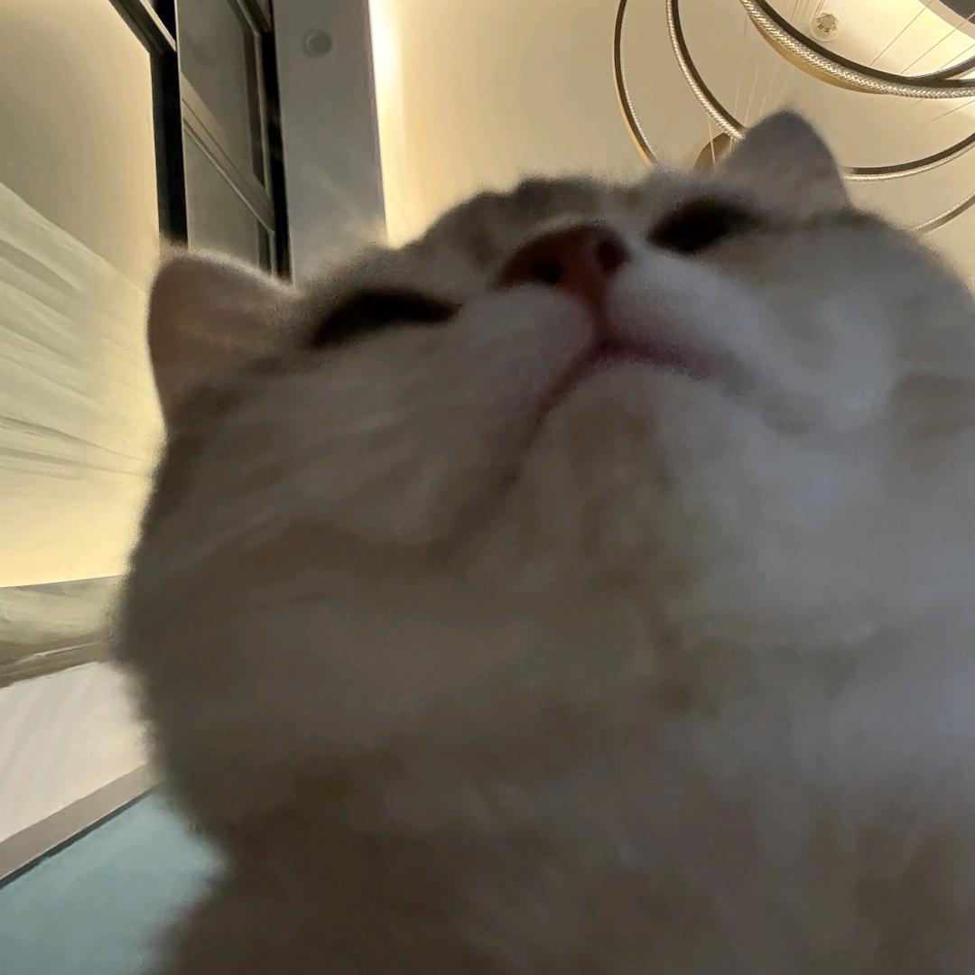 惜时