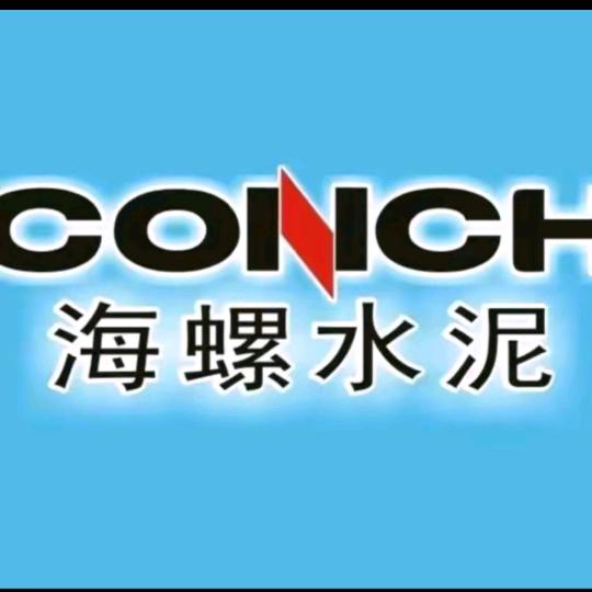 临泉  海螺水泥  中联水泥  李俊锋