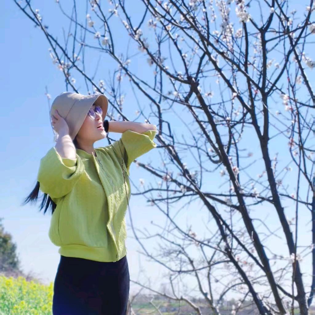 向日葵晒太阳🌞