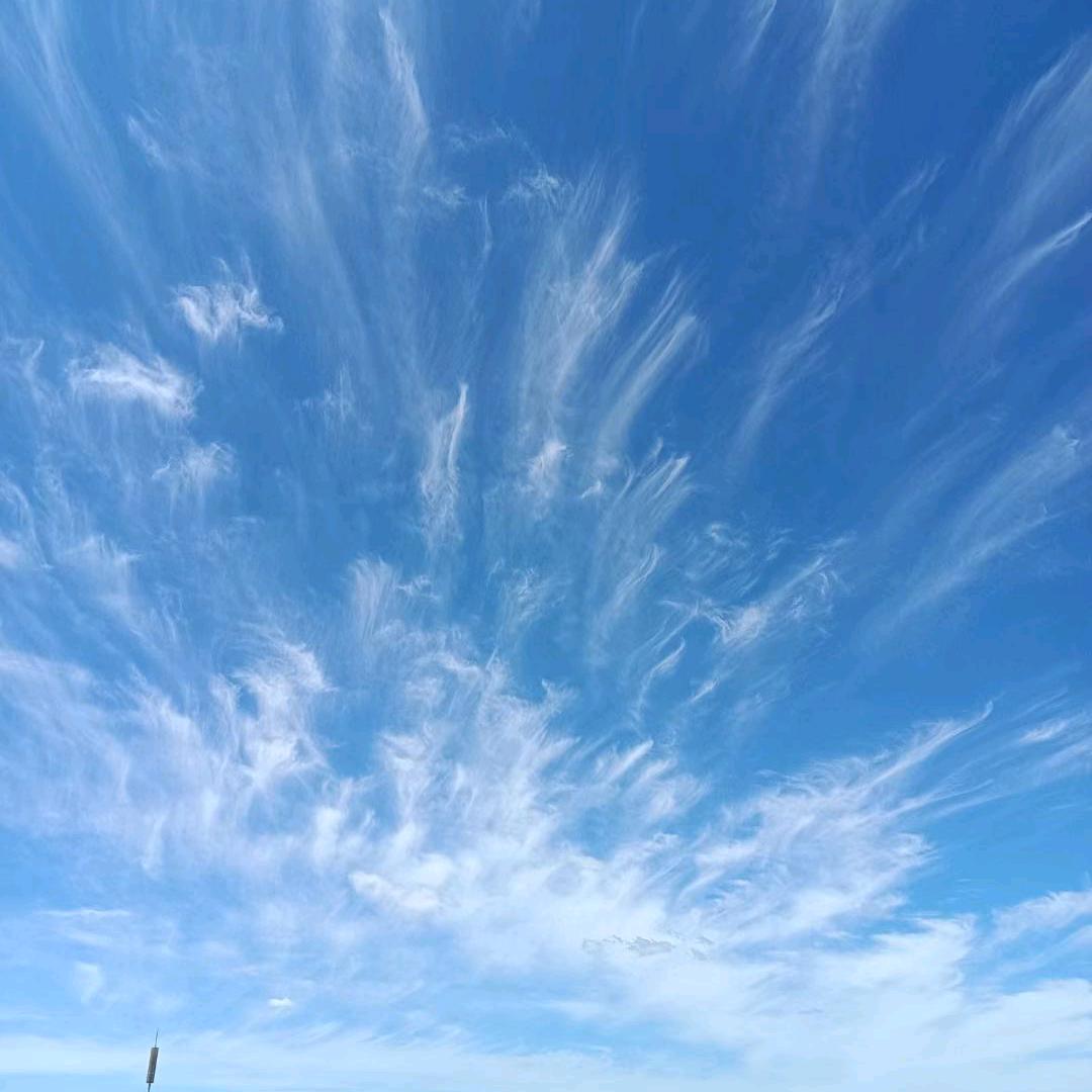 逗曲