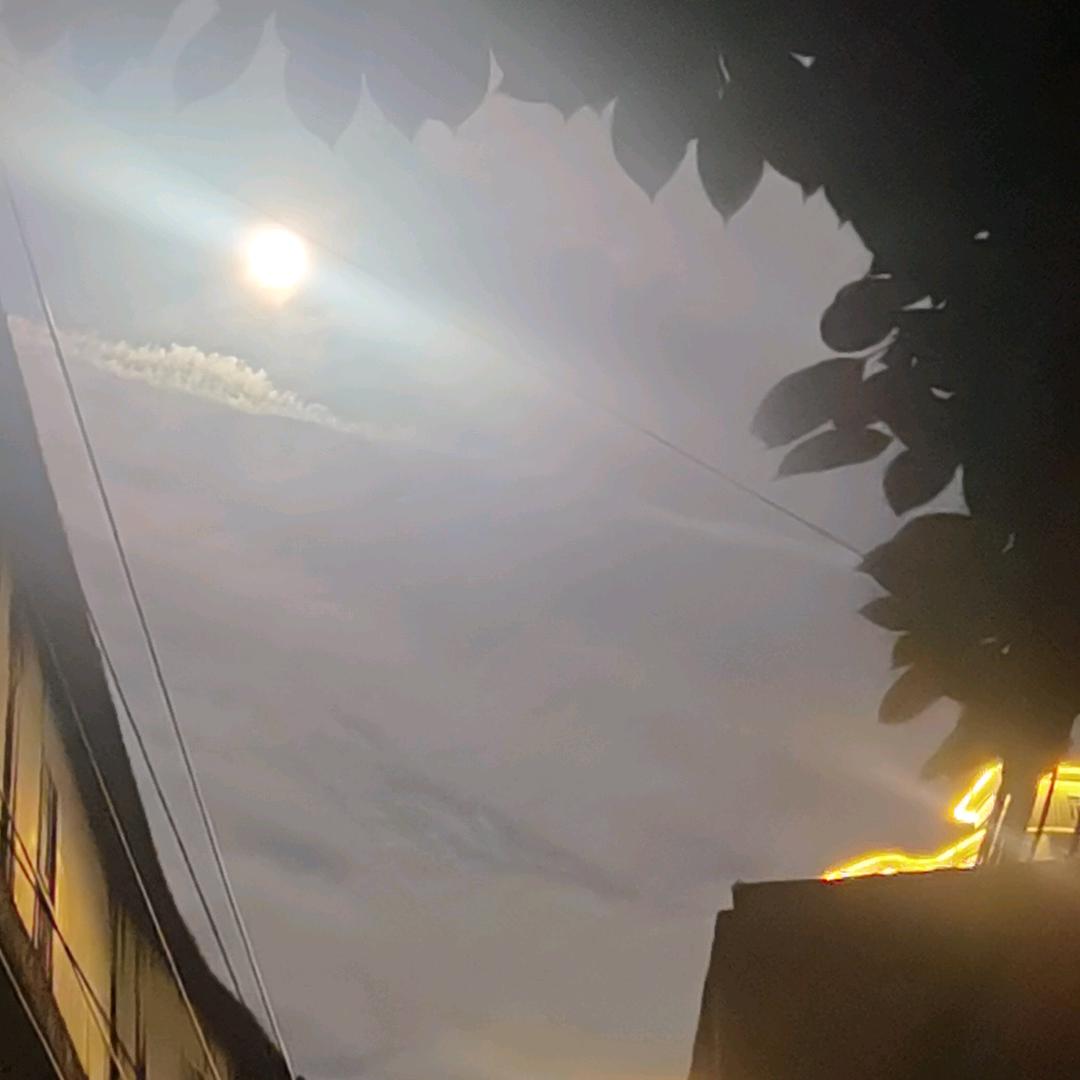 蓉蓉