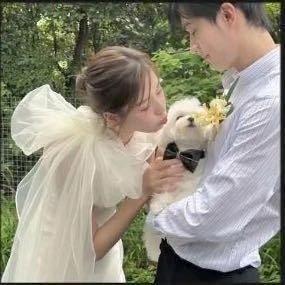 小葵葵葵