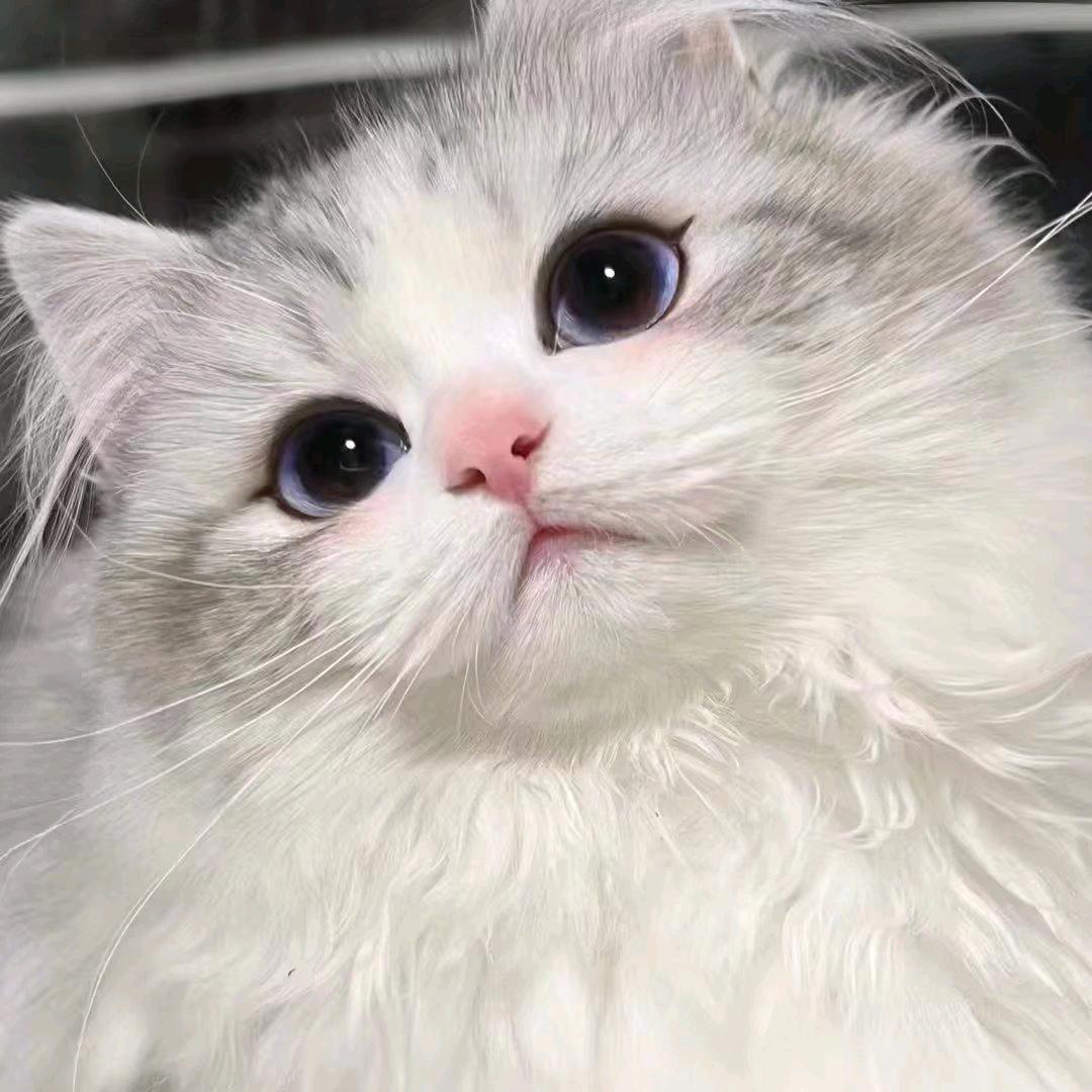七月