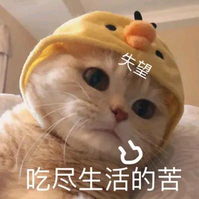 似水流年