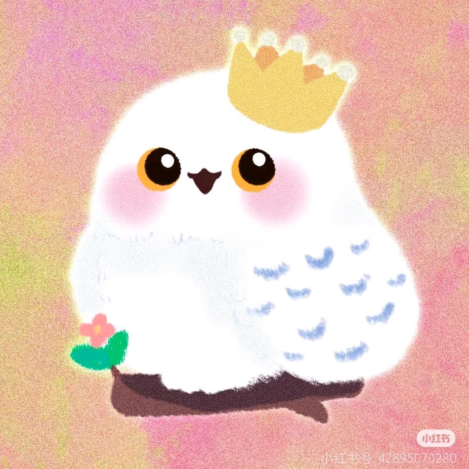 祝颂岛（Chu~sun land）