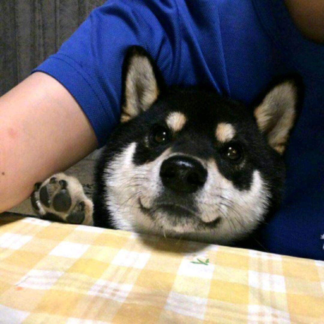 叶