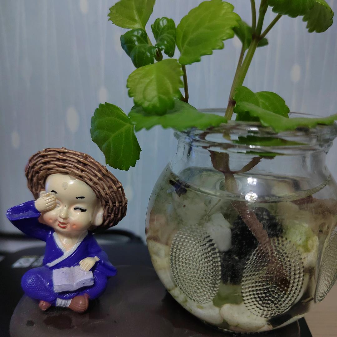 机场等船