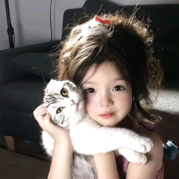橘里🐰