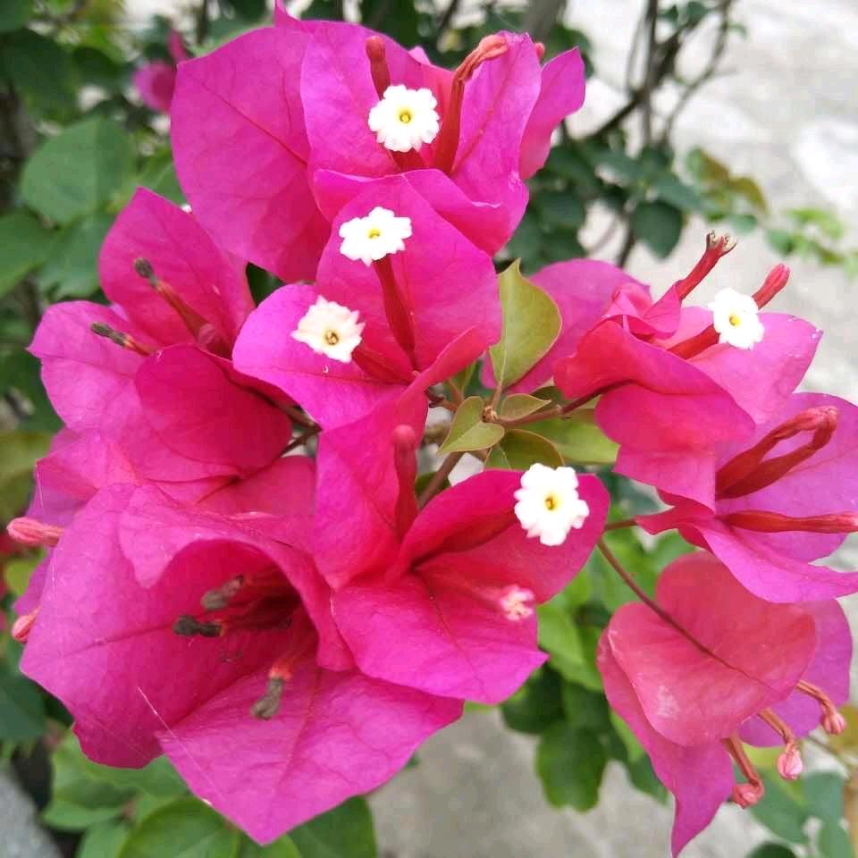 无聊的人生