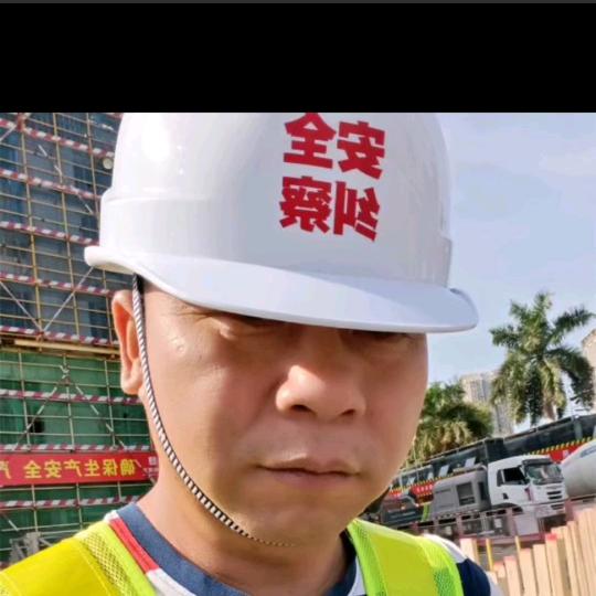 向林