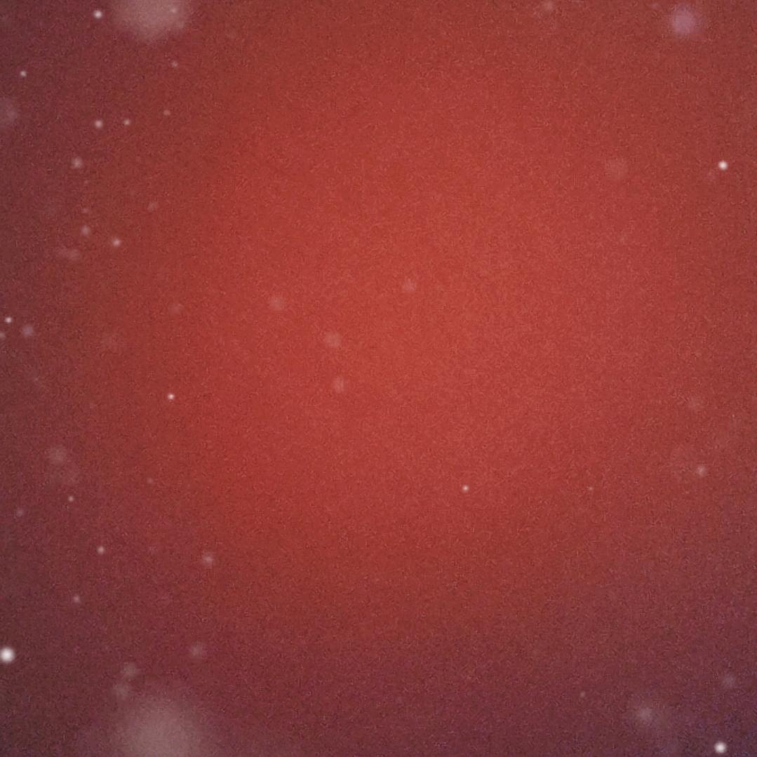 真爱鸡