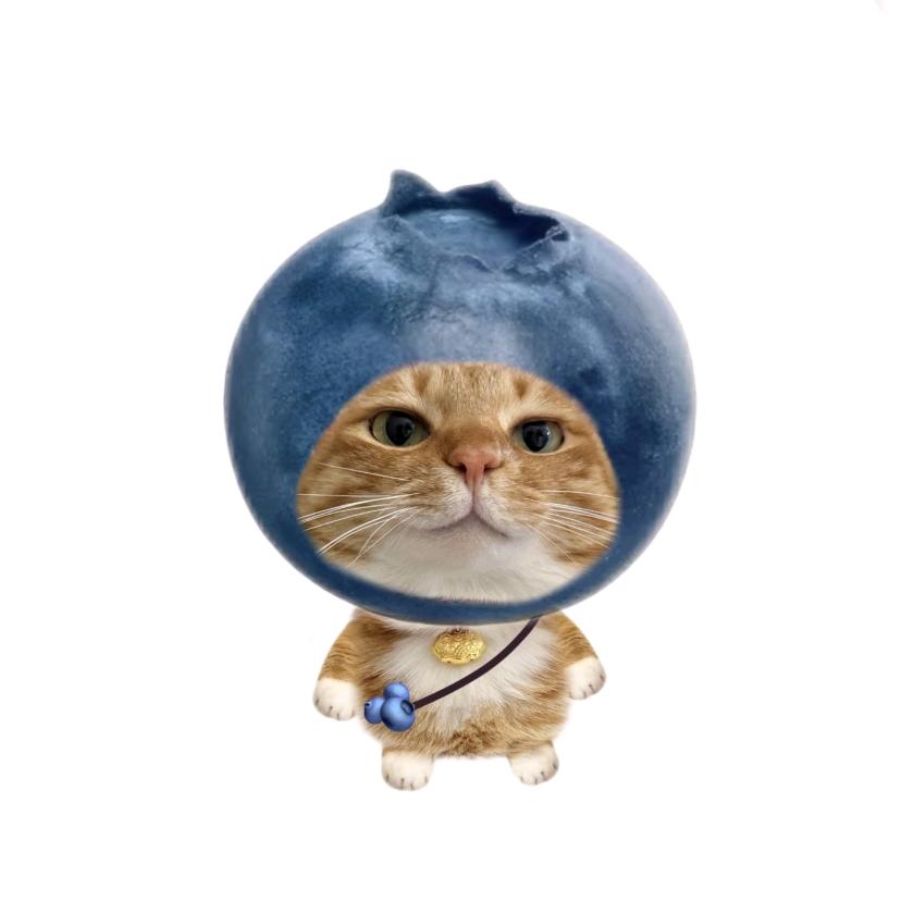又碎了。