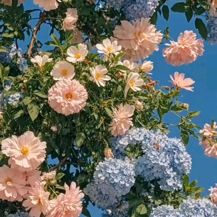 平平淡淡