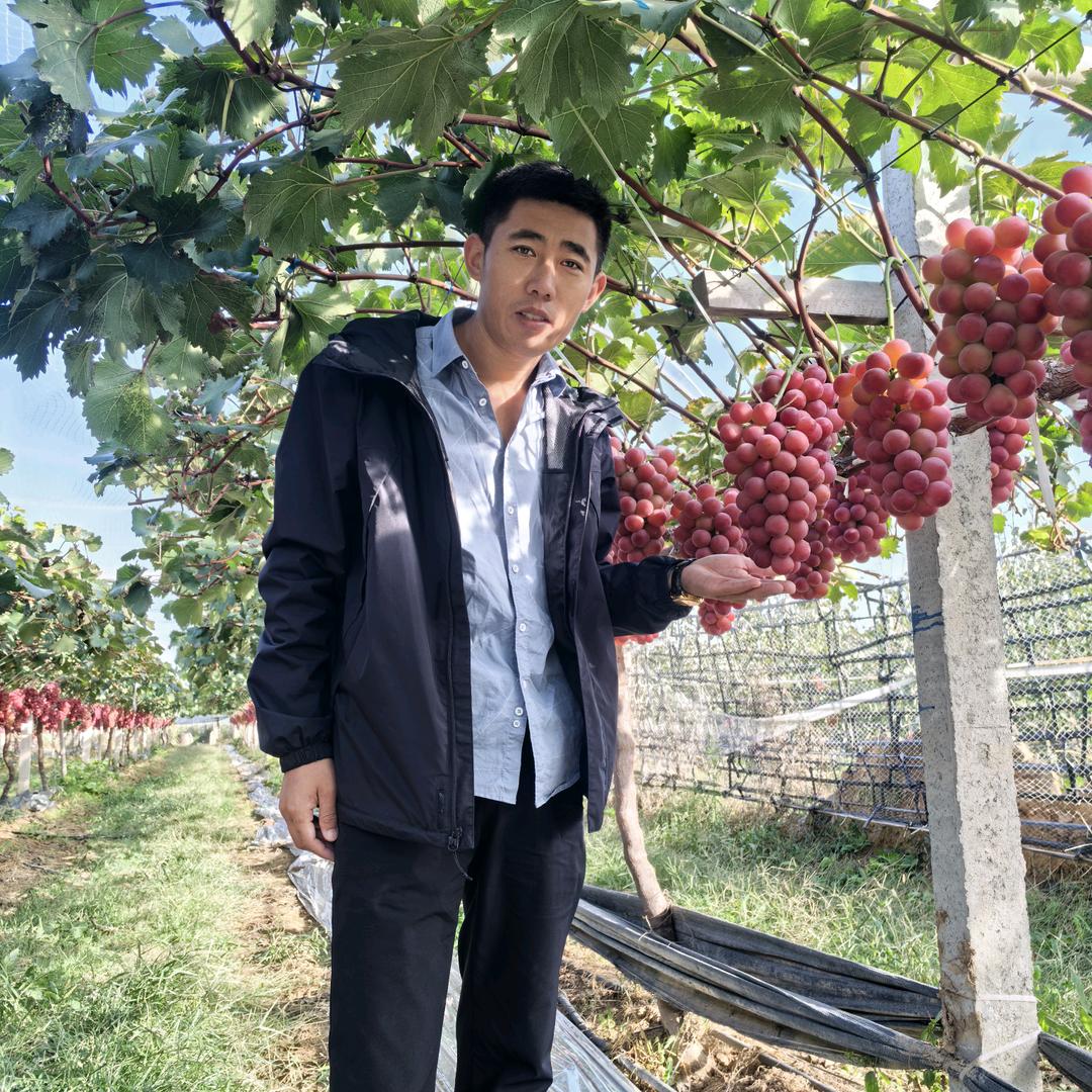 方森妮娜优株（脆香红）