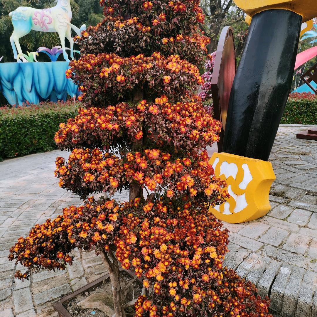 科学种田～以农会友