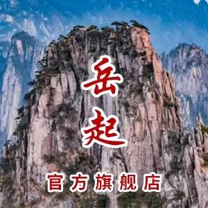 岳起索具吊装带