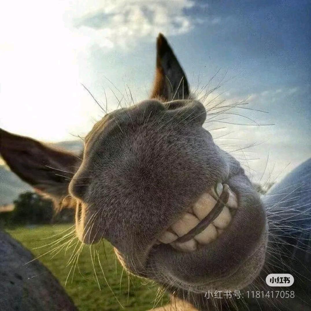 ？？？？