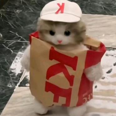 史呆芬