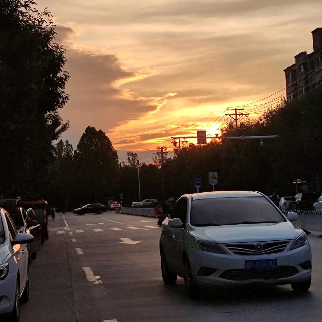 通天博士诸葛卧龙