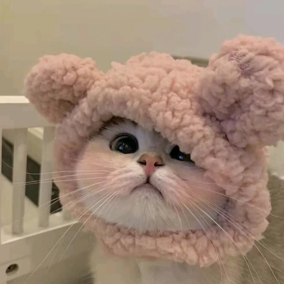 (｡･ω･｡)ﾉ♡-