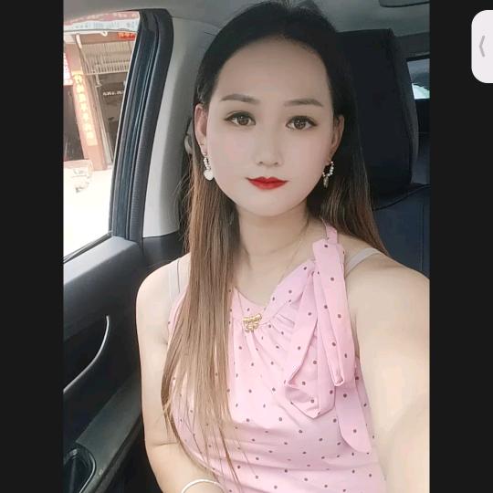 小马栓在大树上