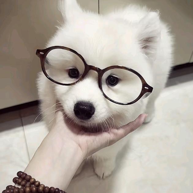 信杳杳❤️♚