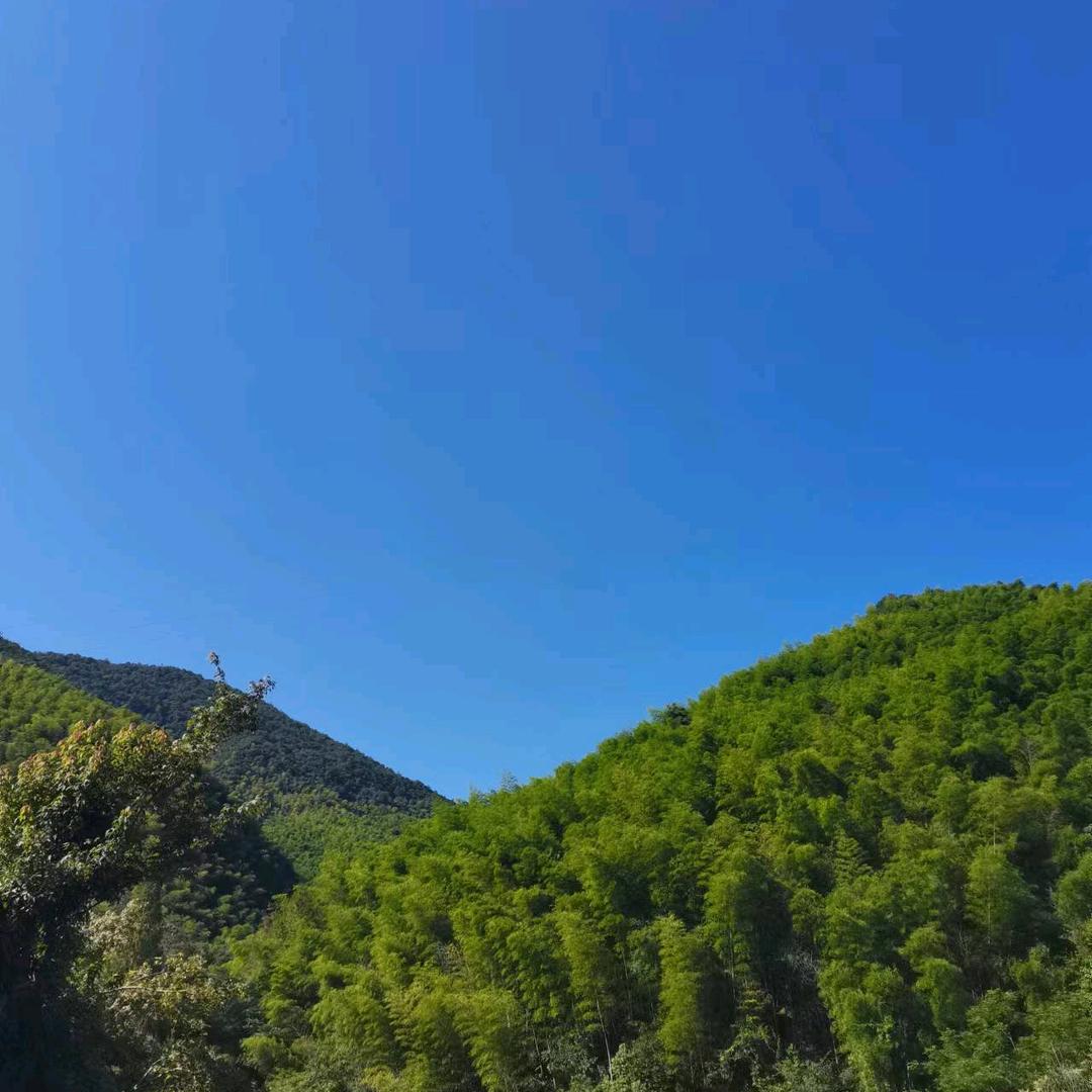 白云直播