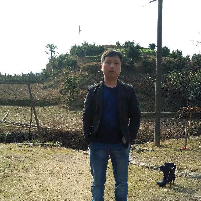 陶先森