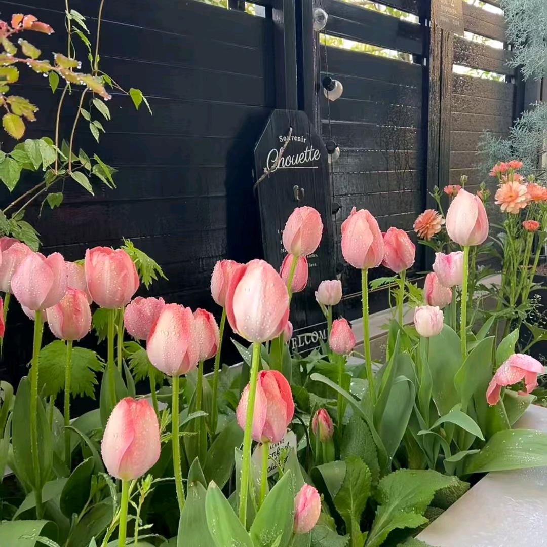 不忘初心方得始终