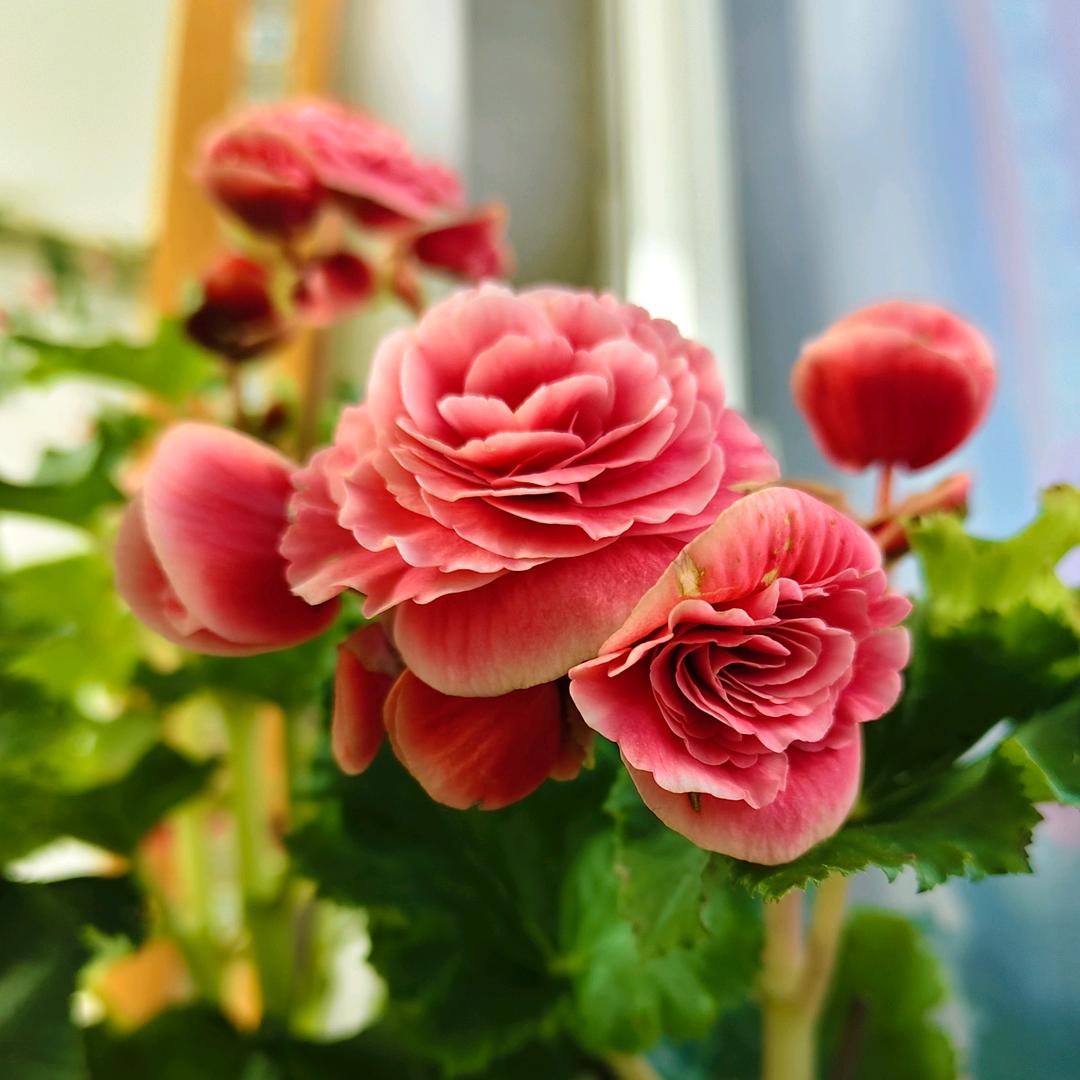 小满的快乐奇遇岛