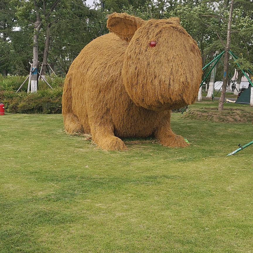 我是一个普通人