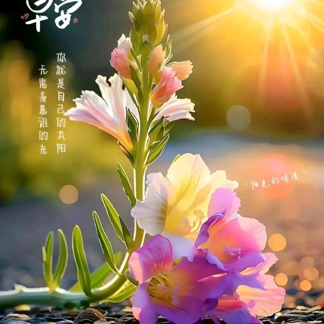 余生💞只随心ღ᭄💗🍬?