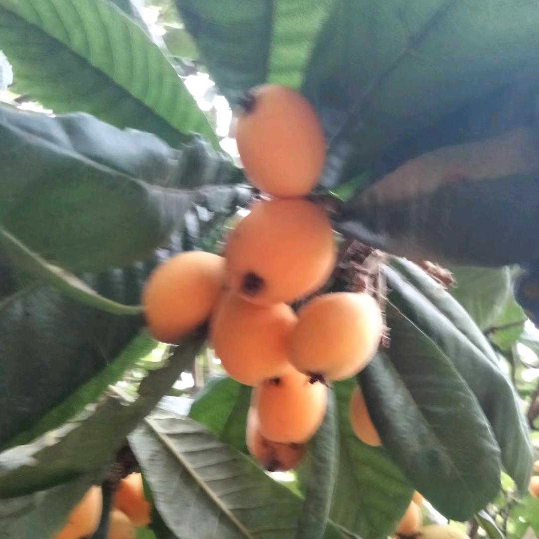 石材
