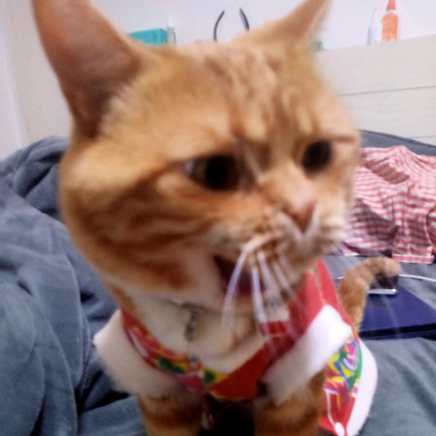 🌈🌺招💝财💖猫🌺