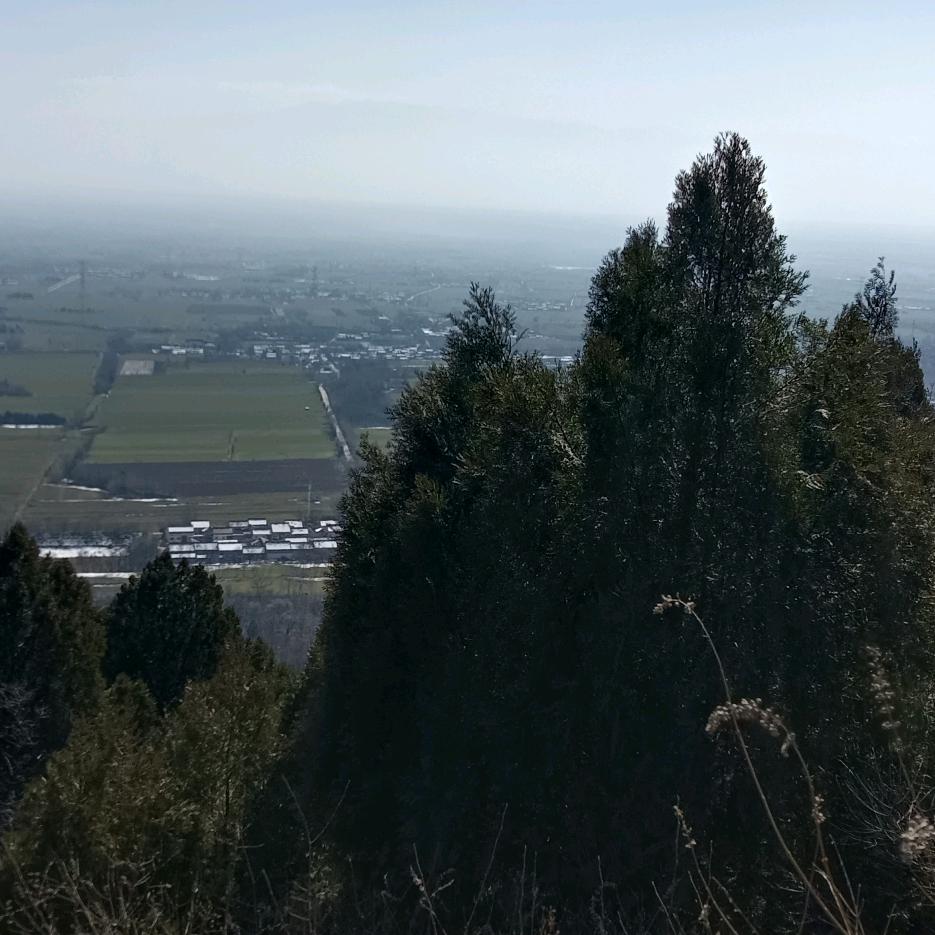飞飞