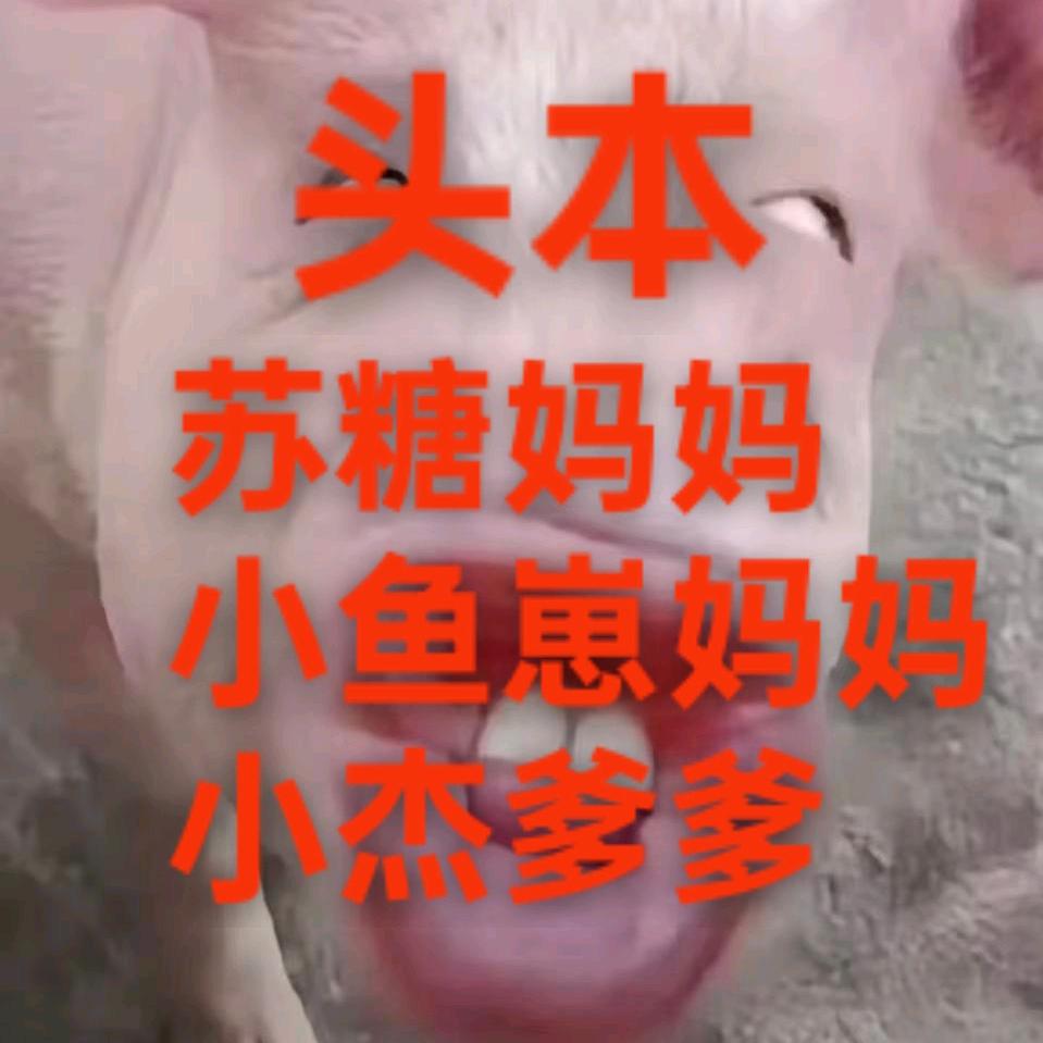 𝓦•小羊🐑