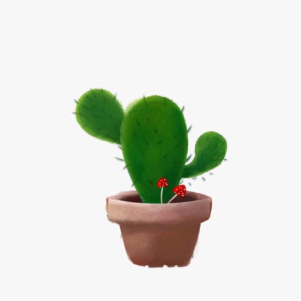 仙人掌🌵