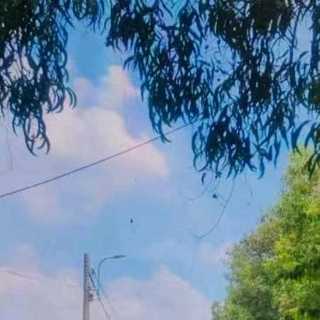 阿云和咖啡是来自越南🇻🇳